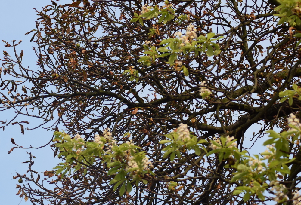 03 1 DSC 0225