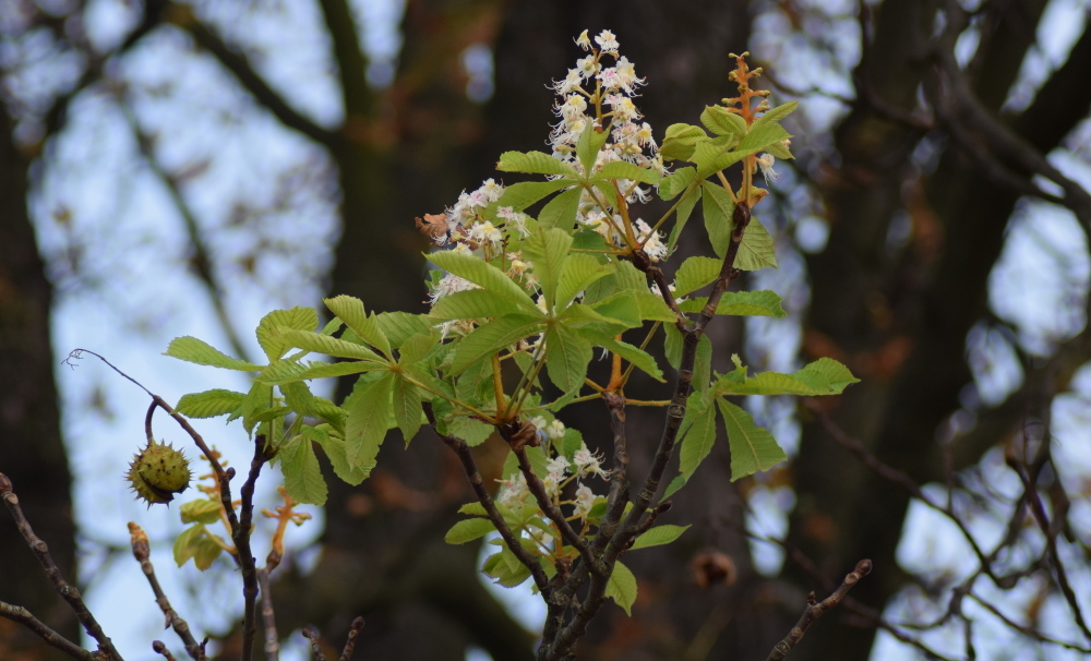 06 1 DSC 0228