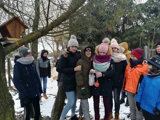 doakrmianie ptaków 10