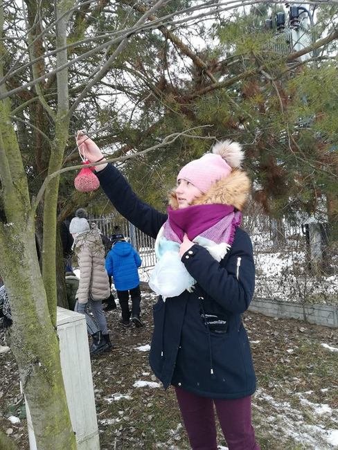 doakrmianie ptaków 6