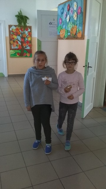 ciasta3