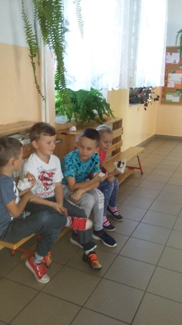 ciasta4