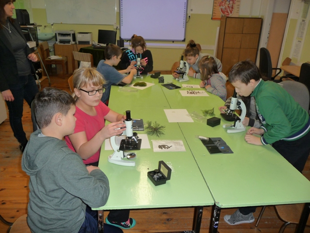 k przyr3