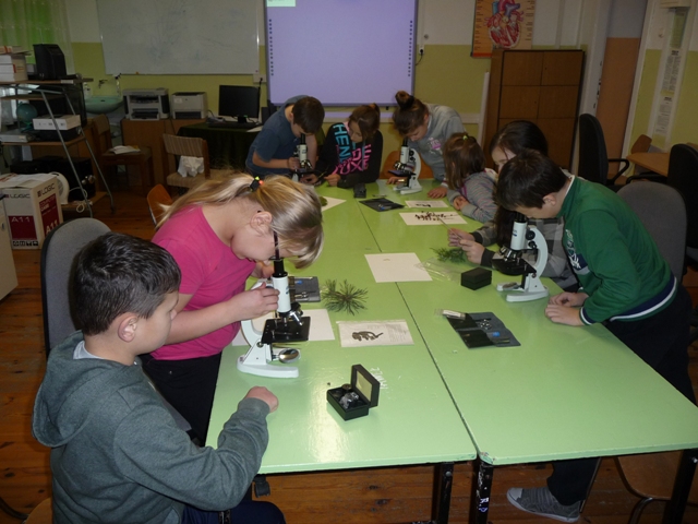 k przyr4