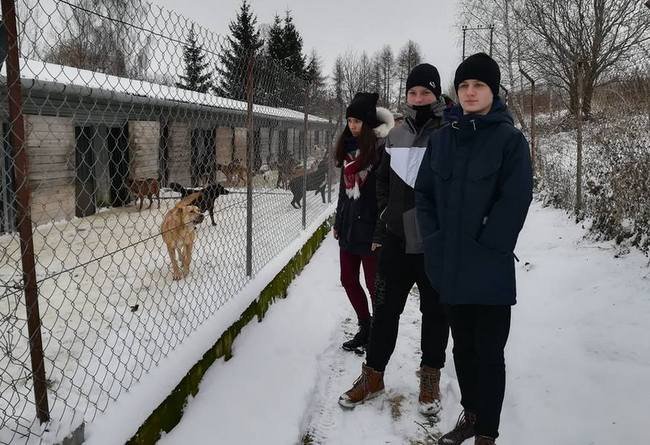 paczka dla futrzaka 18