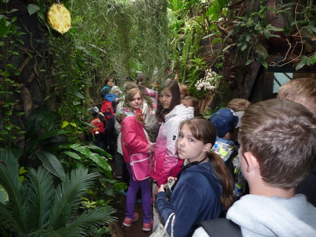 zoo1