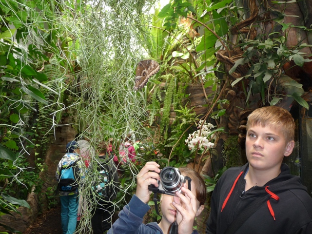 zoo3