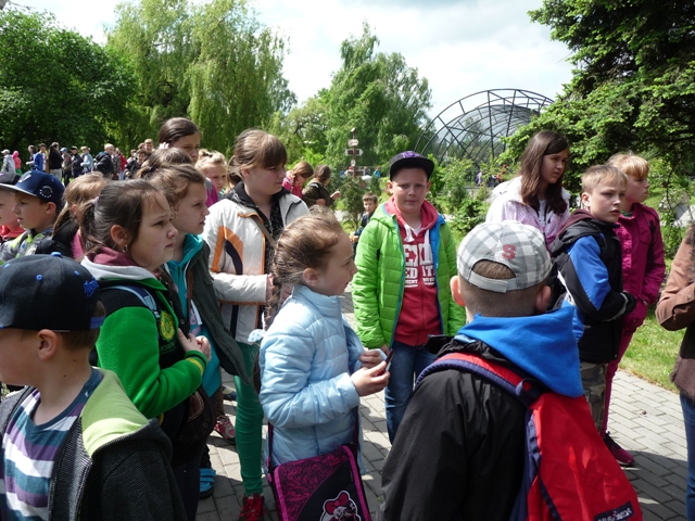 zoo4